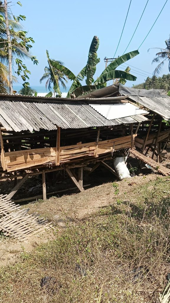 AKSI PENCURIAN TERNAK: 8 Ekor Domba Milik Mang Dadan Raib Digondol Maling
